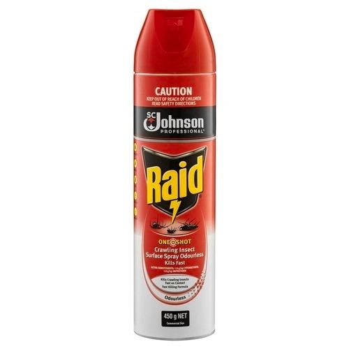 Raid Odourless Insect Surface Spray 450g ea